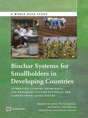 cover image of Biochar Systems for Smallholders in Developing Countries
